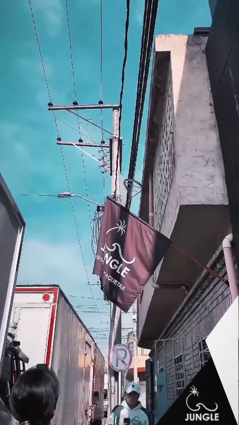 Fachada del showroom JUNGLE en Galán
